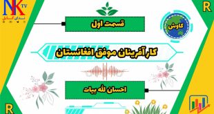 کار آفرینان موفق افغانستان